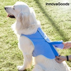 InnovaGoods Kühlweste für Große Hunde - L